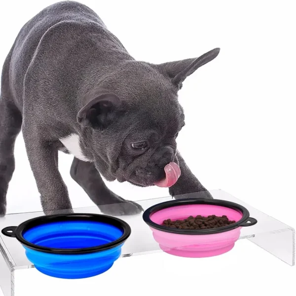 Folding Portable Silicone Dog Feeder Bowl 2 In 1 Pet Dispenser Outdoor Travel Dog Cat with Carabiner Bottle Food Water Container - Image 2